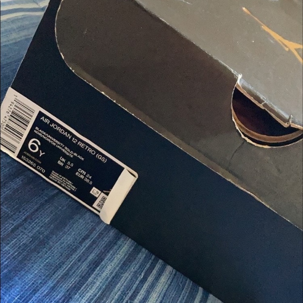 Air Jordan 12s